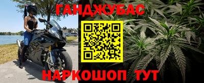 винт Аргун